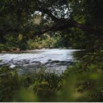 San Antonio River in Wilson County