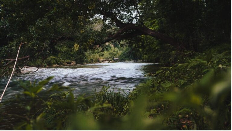 San Antonio River in Wilson County