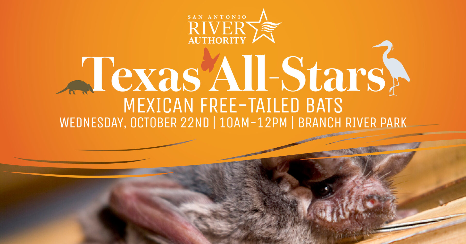 Texas All Stars Mexican Free-Tailed Bats at Branch River Park