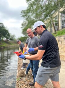 Volunteers remove apple snails from the river