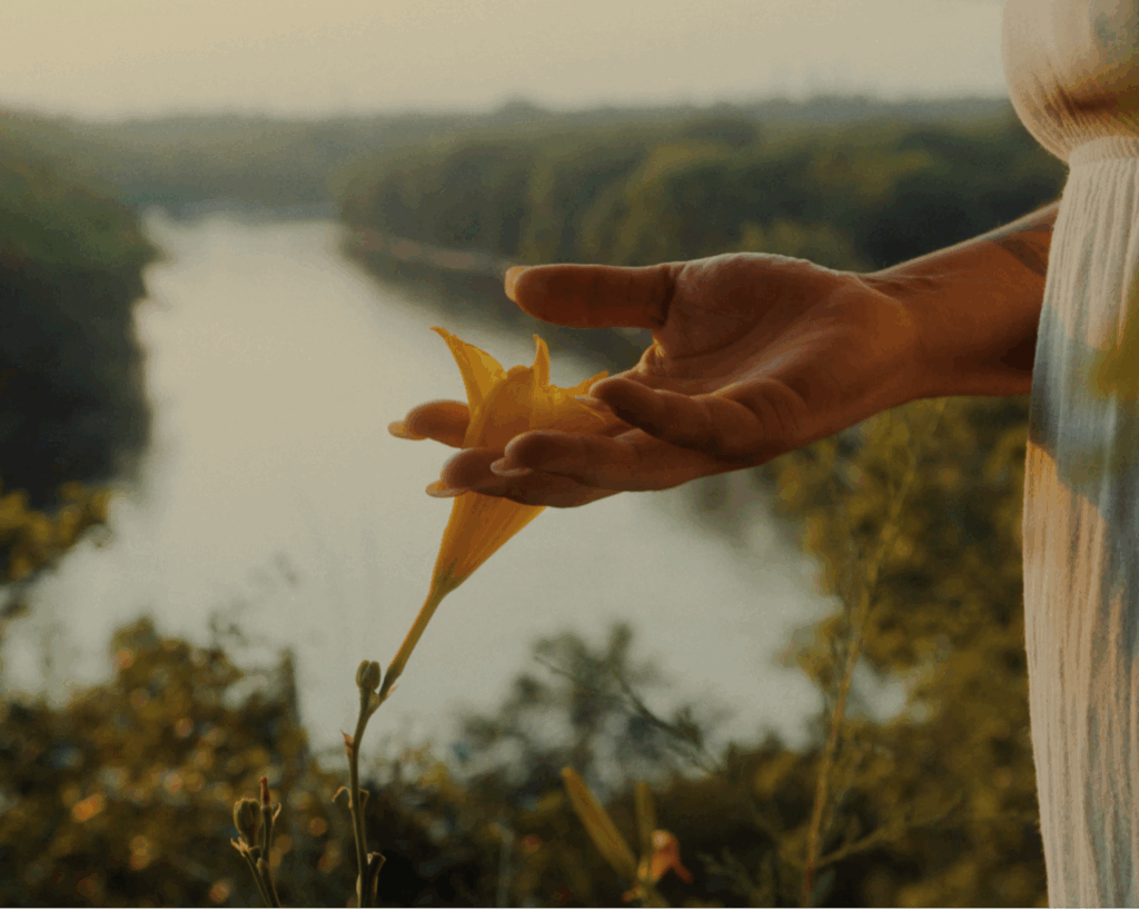 A hand holds a flower with a river in the background.
