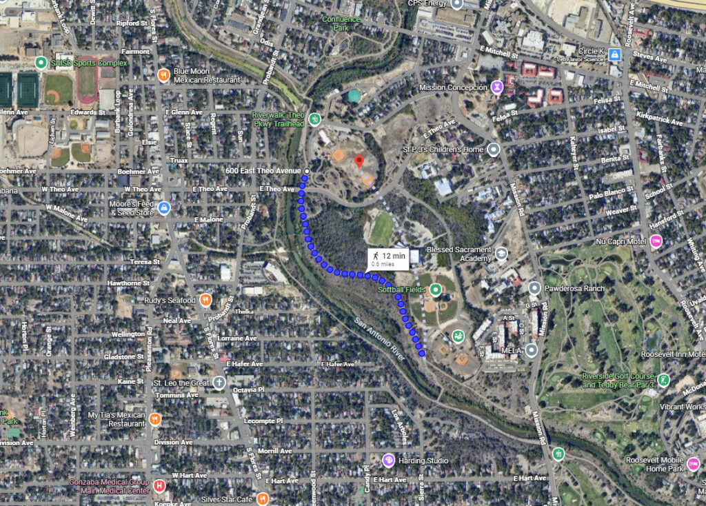 Stem Density work 12.10.2025-12.19.2025