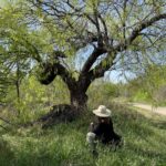 Lee Marlow sits in front of a Mesquite Tree