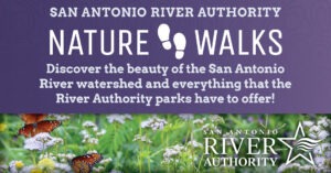 Nature Walks promotional graphic