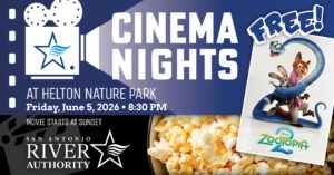 Cinema Nights promotional graphic