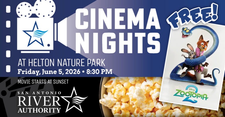 Cinema Nights promotional graphic