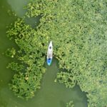 A kayak floats in the river filled with water lilies