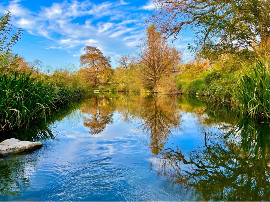 River at Karnes County