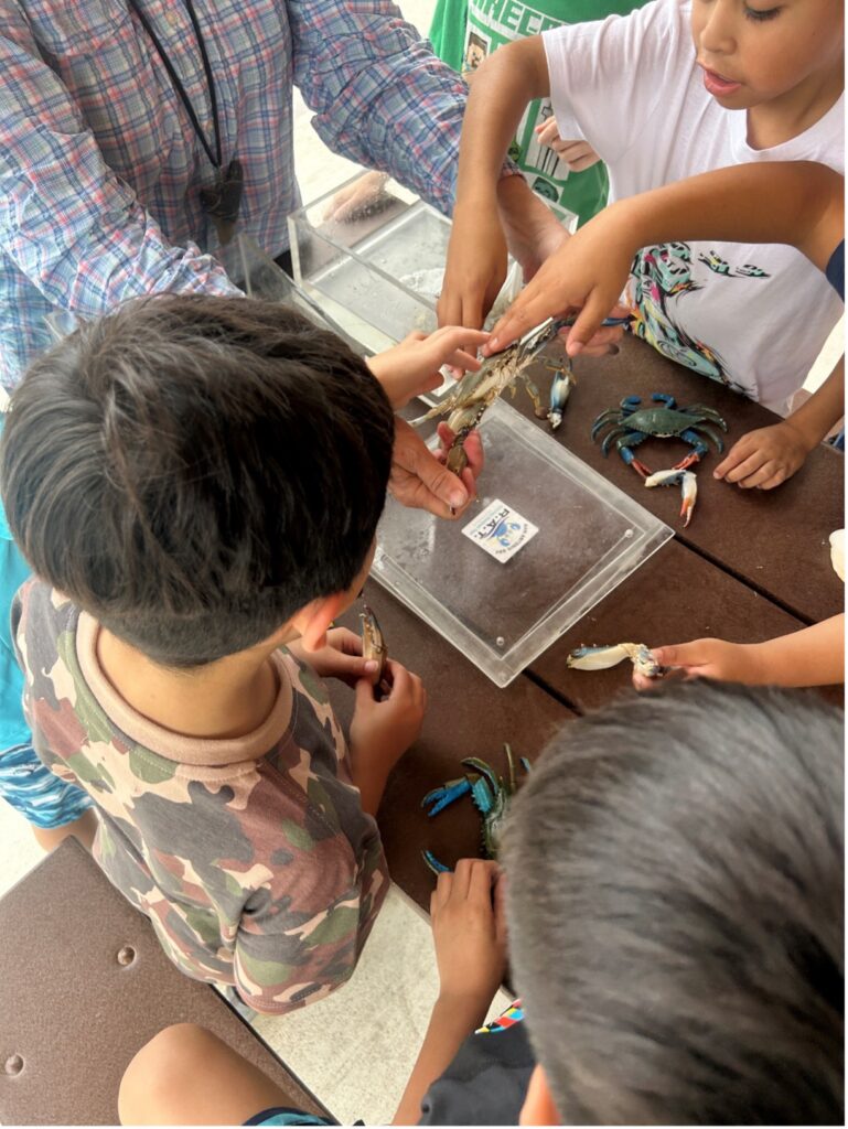 Children play with toys on a table