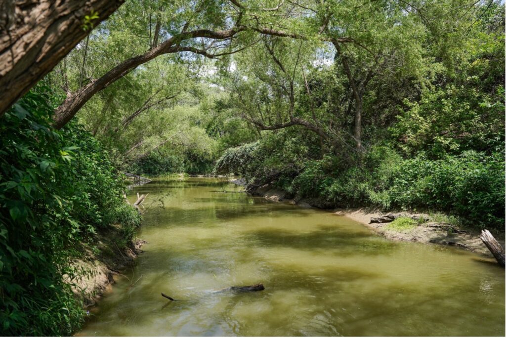 San Antonio River