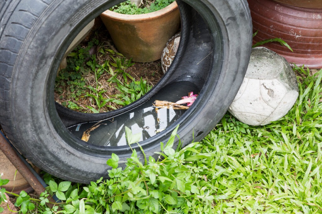 Used tires potentially store stagnant water and become mosquitoes breeding ground
