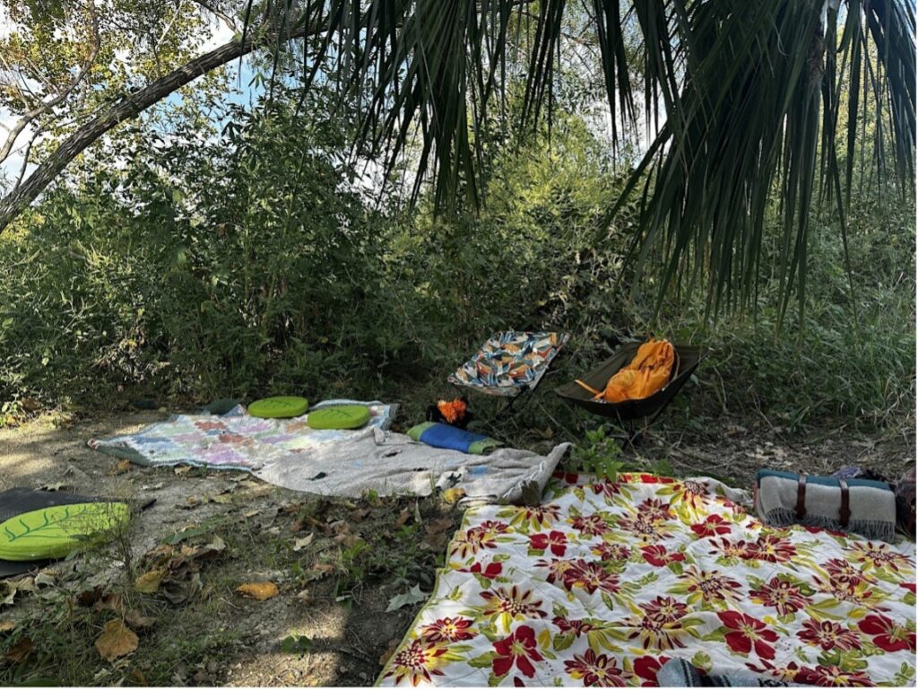 Blankets on the forrest ground