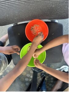 Children's hands sort through seeds into two bowls
