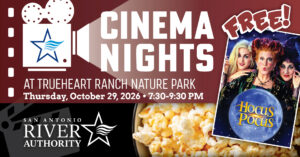 Hocus Pocus - Cinema Nights promotional image