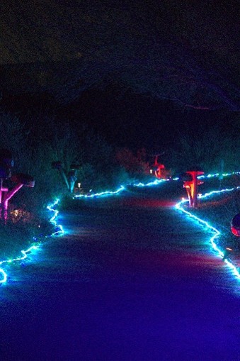 A park path lit up by glow lights.